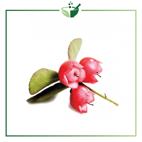 Wintergreen Essential Oil-01